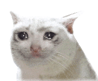 alarkokombi16 cute cat sad cat crying cat cat crying Sticker
