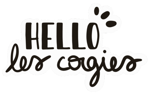 CorgiButtStudio giphyupload hello corgibuttstudio Sticker
