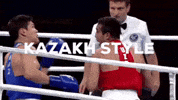 Artofboxing GIF by Bekzatsport