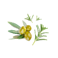 dhcskincare_id lipbalm oliveoil dhc cleansingoil Sticker