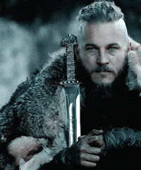 vikings GIF