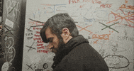 mergerecords cat modelo bob dylan titus GIF