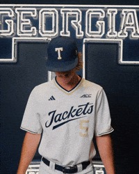 Georgia Tech Baseball GIF by Georgia Tech Yellow Jackets
