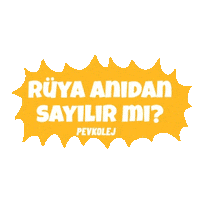 Pev Sticker by pevkolej