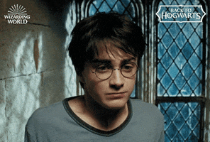 Magic School GIF by Harry Potter