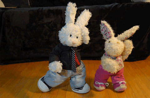 bunny dancing GIF by Zackary Rabbit