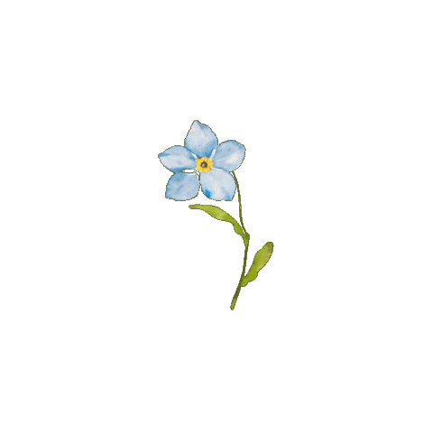 Flower Sorg Sticker by Utan dig