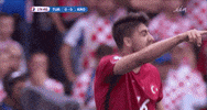 euro 2016 GIF by Sporza