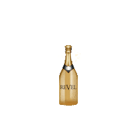 palacemanila party drink pop champagne Sticker