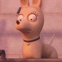 Turn Around Reaction GIF by ENSI