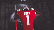 Football Flex GIF by Wisconsin Badgers