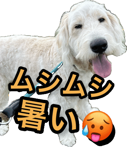 Dog 犬 Sticker