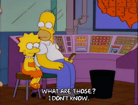 homer simpson episode 20 GIF