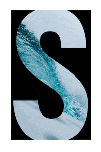 Spellers speller spellers Sticker