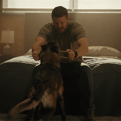 Sealteam Davidboreanaz GIF by Paramount+