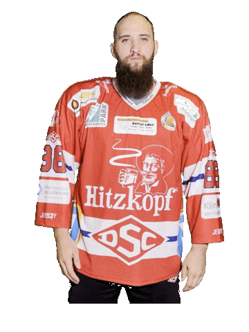Hockey Sticker by dsc-eishockey