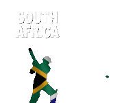 South Africa T20 Sticker by RightNow