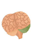 Thinking Feeling Sticker