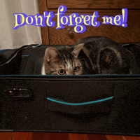 Take Me With You GIF
