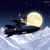 Outer Space Cat GIF by CATBAT