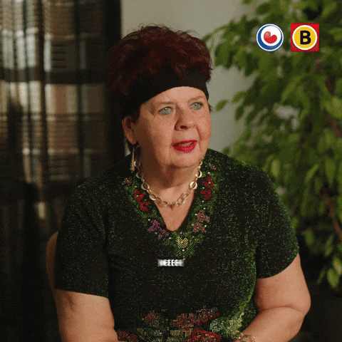 Brabant No GIF by Omrop Fryslân