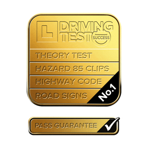 drivingtestsuccess giphyupload car app pass Sticker