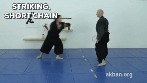 striking with short chain GIF by AKBAN Academy