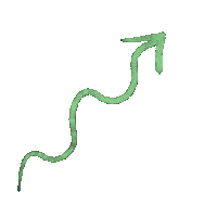 lipplelolly green arrow wiggle arrows Sticker