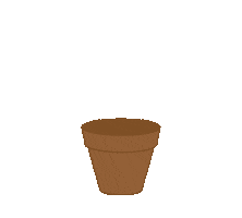 elixabetaduriz plant cactus cacti elixabetaduriz Sticker