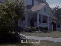 season 1 netflix GIF by Gilmore Girls 