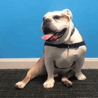 Tired Butler Basketball GIF by Butler University