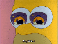 Season 3 Episode 13 GIF by The Simpsons