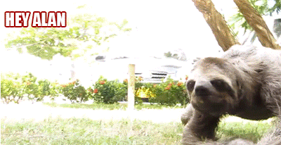 SWIGGITY SWOOTY GIF