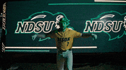 Ndsu Baseball GIF by NDSU Athletics