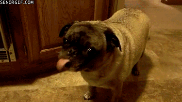 peanut butter wtf GIF by Cheezburger