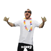 Party Yes Sticker by SWR3