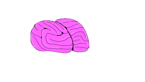 brain think Sticker by deladeso