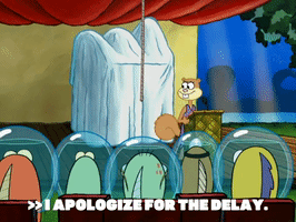season 6 gullible pants GIF by SpongeBob SquarePants