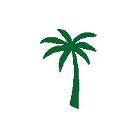 Costarica Sticker by Farrynheight
