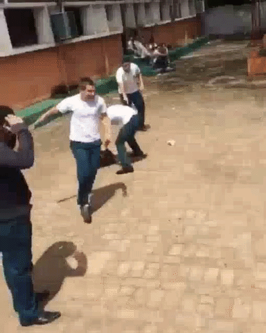 recreio semcelular GIF
