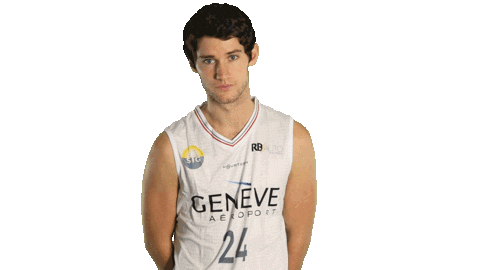 Basketball Basket Sticker by Lions de Genève