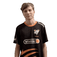 Twitch Dota Sticker by Virtus.pro