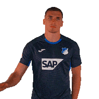 Grischa Prömel Sport Sticker by TSG Hoffenheim