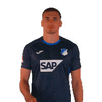 Grischa Prömel Sport Sticker by TSG Hoffenheim