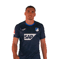 Grischa Prömel Sport Sticker by TSG Hoffenheim