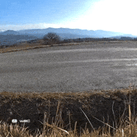 Fast Car Racing GIF by FIA World Rally Championship