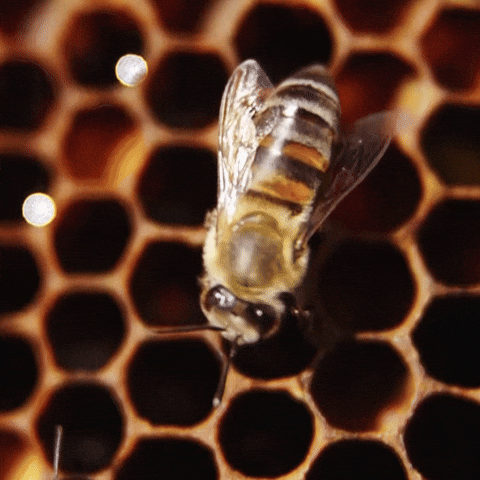 Work Monday GIF by TRT