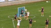 Happy University Of North Carolina GIF by UNC Tar Heels