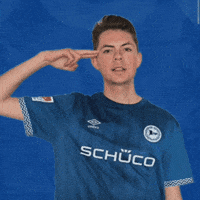 Arminia Bielefeld Bundesliga GIF