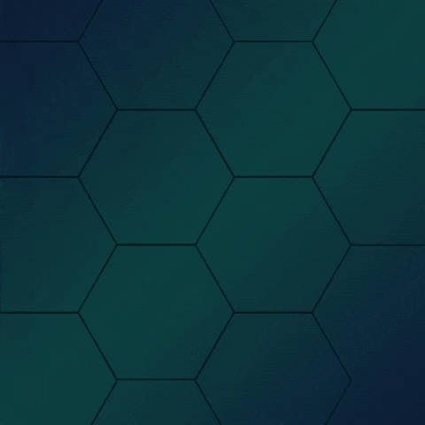 Device Fingerprinting GIF by SelfID